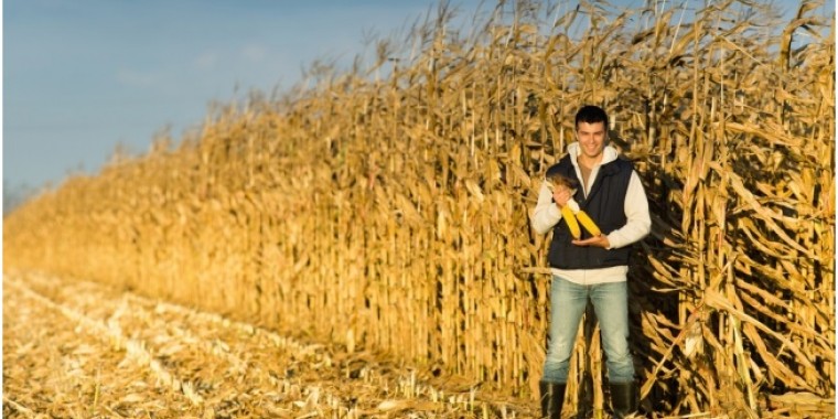 Elöregedő agrárszakma: kellenek a fiatal gazdák