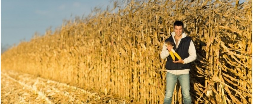 Elöregedő agrárszakma: kellenek a fiatal gazdák