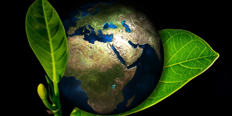 A 2015-ös év TOP3 fenntartható ellátási lánc trendjei.