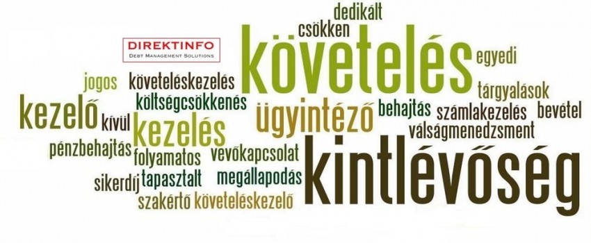 Direktinfo Kft - Interjú