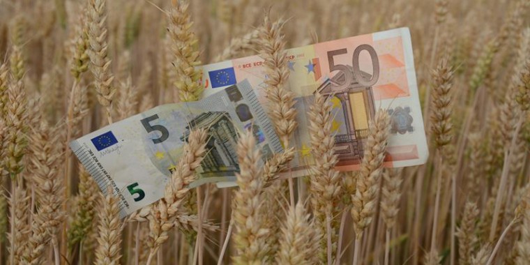 Tizenkétmilliónyi okotok van gazdálkodni!
